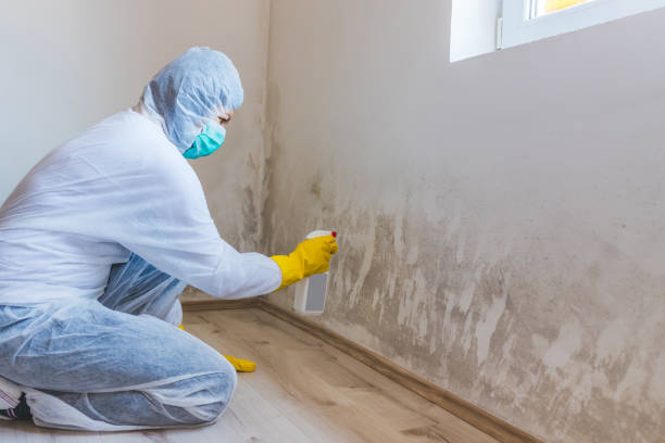 Licensed Crawl Space Mold Removal service in Henderson, MD - WQB Mold Removal