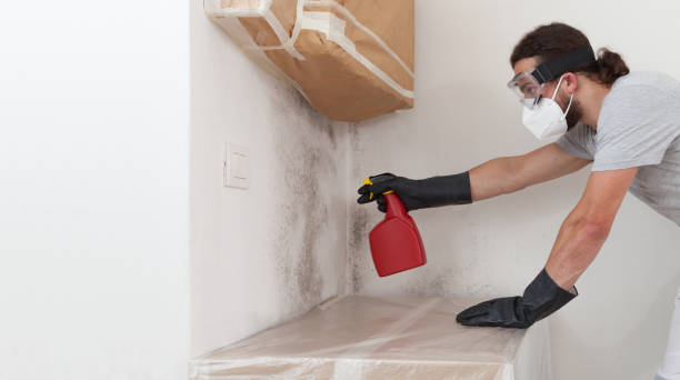 Professional Crawl Space Mold Removal technician working in Henderson, MD