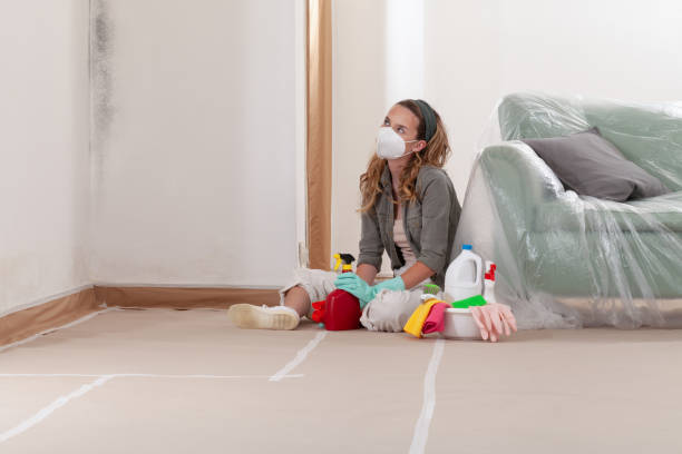 Reliable Crawl Space Mold Removal contractor in Henderson, MD by WQB Mold Removal